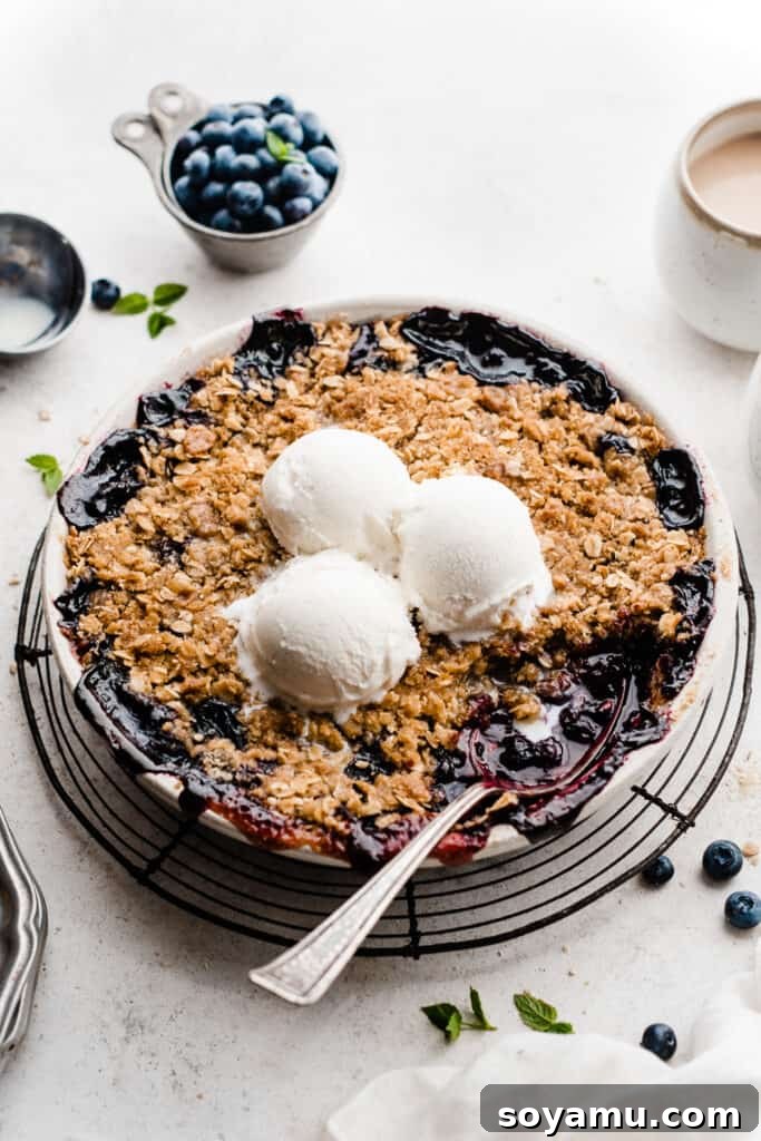 The Ultimate One-Bowl Blueberry Crisp 8 Baked crisp topped with scoops of ice cream, emphasizing a perfect summer serving.