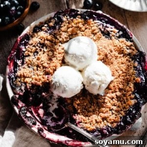 A round dish of blueberry crisp topped with ice cream, with a serving spoon digging in, ready to be enjoyed.