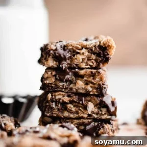 Delicious Brown Butter Chocolate Chunk Oatmeal Cookie Bars
