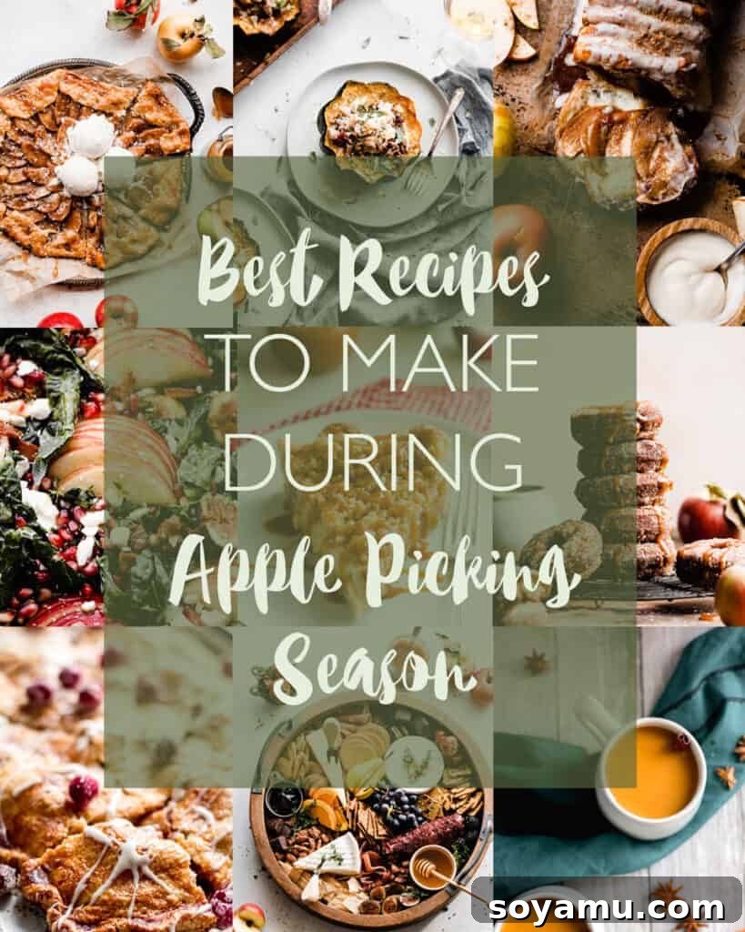 Autumns Best Apple Recipes Fresh from the Orchard 2 A vibrant collage of various apple dishes, including pies, crisps, salads, and drinks, with text overlay: Best Recipes to Make During Apple Picking Season.
