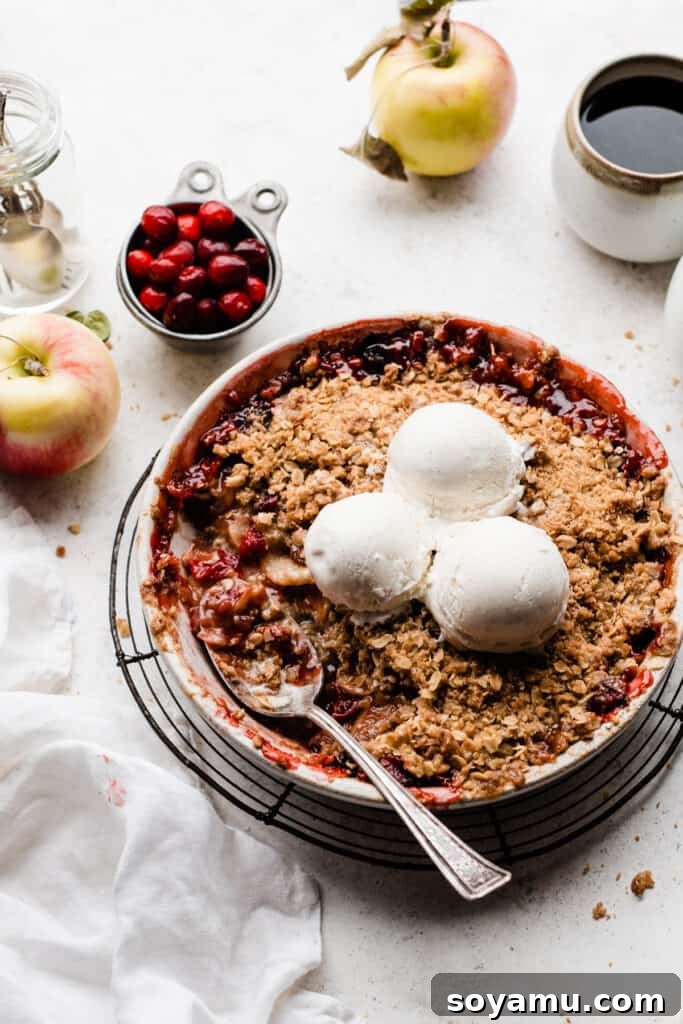Autumns Best Apple Recipes Fresh from the Orchard 11 A rustic dish of warm Cranberry Apple Crisp, generously topped with scoops of melting vanilla ice cream.