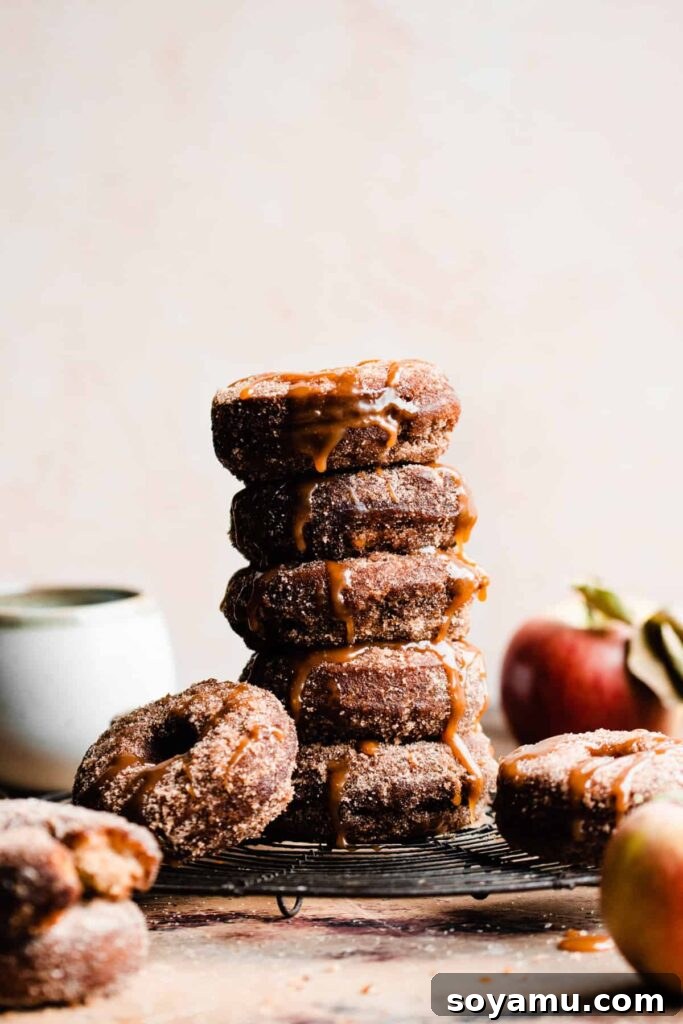 Autumns Best Apple Recipes Fresh from the Orchard 12 A tempting stack of golden-brown Homemade Apple Cider Donuts, beautifully drizzled with glistening salted caramel sauce.