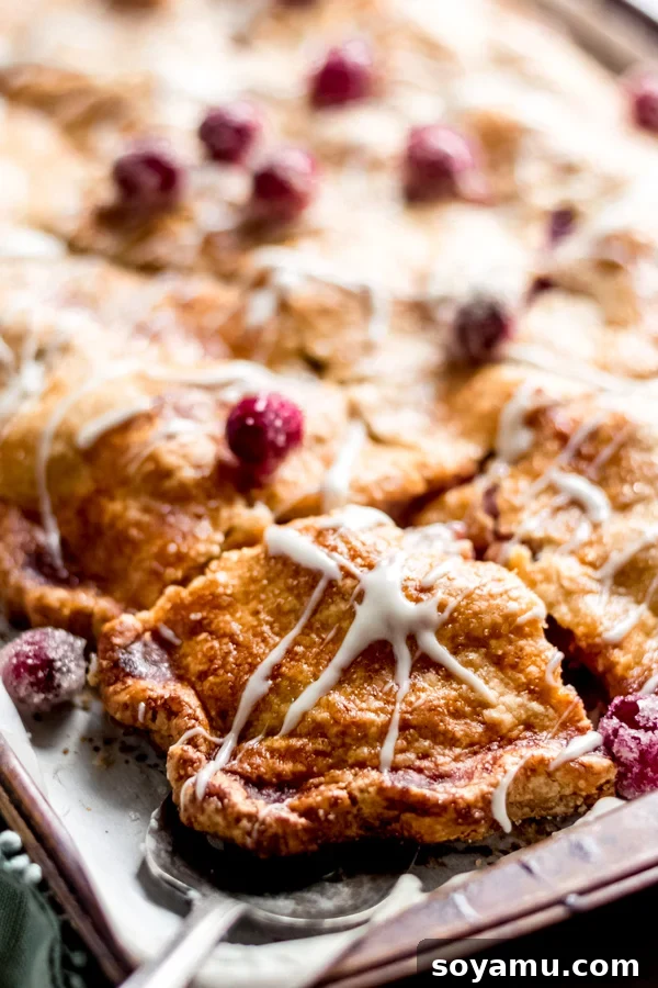 Autumns Best Apple Recipes Fresh from the Orchard 17 A generous slice of Cranberry Apple Slab Pie, showcasing its rich fruit filling and golden crust.