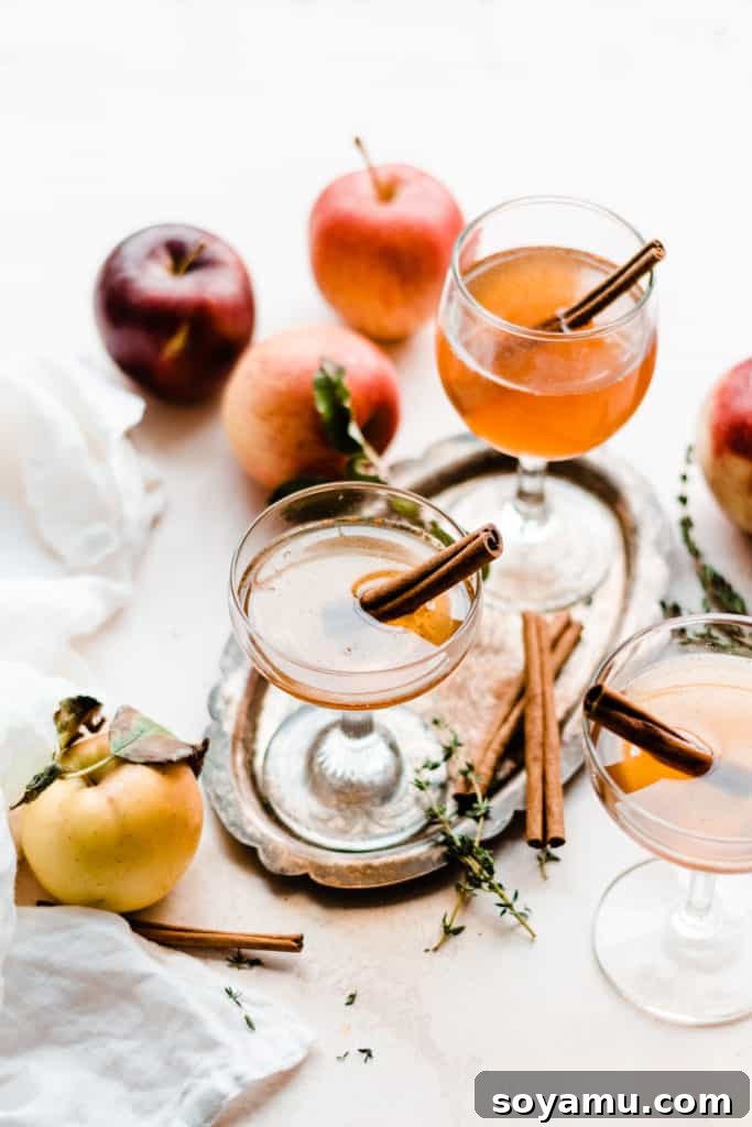 Autumns Best Apple Recipes Fresh from the Orchard 20 Two elegant glasses of Apple Cider Old Fashioned cocktails, garnished with cinnamon sticks, set against an autumn backdrop.