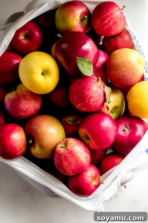 Autumns Best Apple Recipes Fresh from the Orchard 21 A rustic burlap bag filled with freshly picked, vibrant red and green apples, symbolizing the bounty of the orchard.