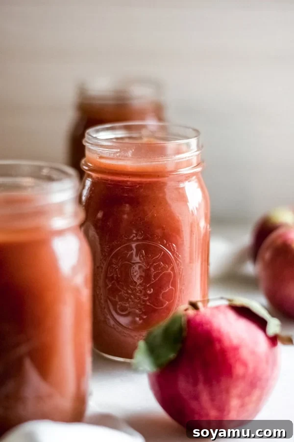 Autumns Best Apple Recipes Fresh from the Orchard 5 Several clear glass jars brimming with golden, smooth homemade applesauce, ready for storage or enjoyment.