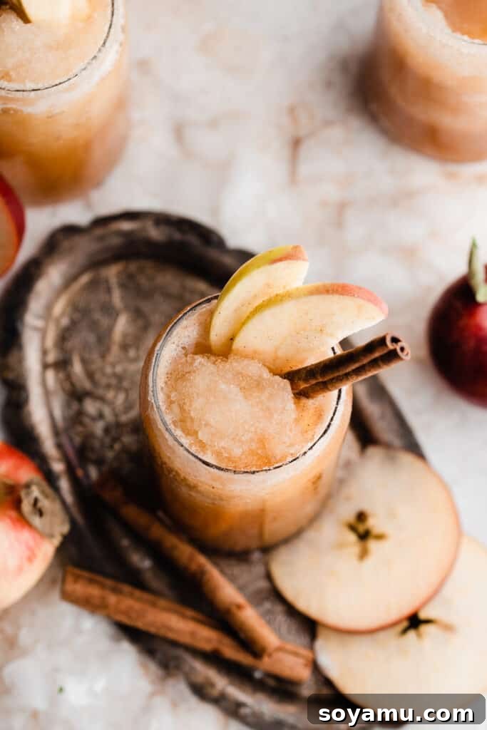 Spiked or Not Apple Cider Slushies 9 A bird's eye view of an apple cider slushy, with apple slices, cinnamon, and a cinnamon stick on top.