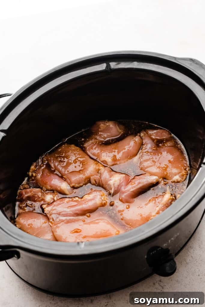 Sticky Sweet Slow Cooker Honey Garlic Chicken 4 A slow cooker filled with raw boneless, skinless chicken thighs generously covered in the rich honey garlic sauce, ready for cooking.