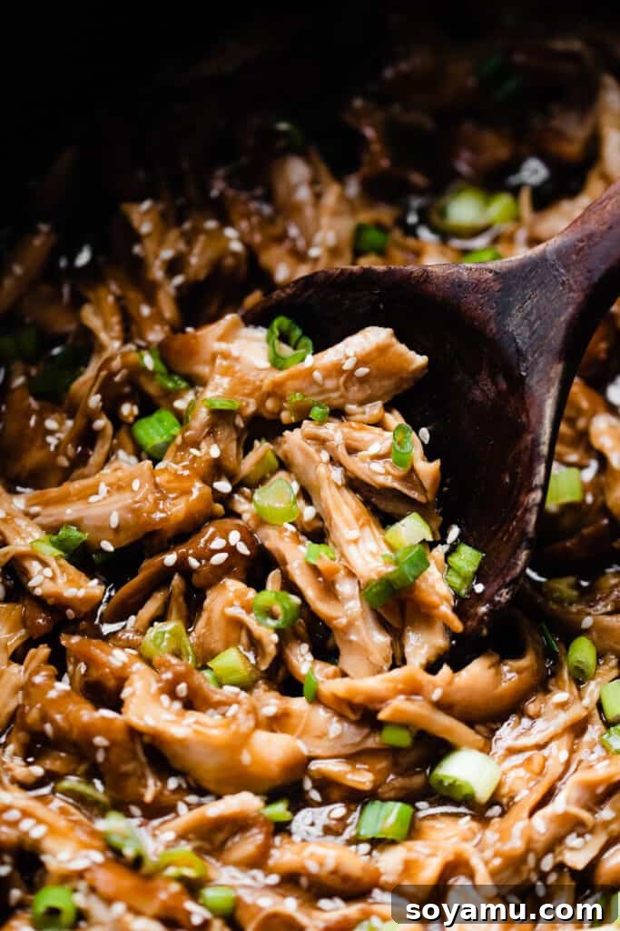 Sticky Sweet Slow Cooker Honey Garlic Chicken 7 A close-up shot of a spoon scooping into the crockpot, revealing succulent shredded honey garlic chicken glistening in its rich sauce, ready to be served.