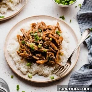 A plate of rice topped with slow cooker honey garlic chicken, fresh green onions, and toasted sesame seeds, illustrating the finished dish.