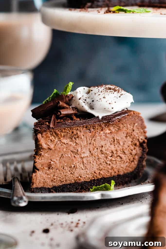 Baileys Infused Chocolate Ganache Cheesecake 3 A perfectly sliced piece of Baileys chocolate cheesecake on a white plate, adorned with delicate chocolate curls and a dollop of whipped cream.