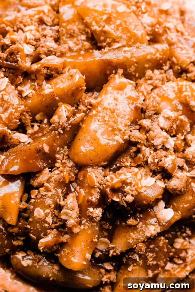 Decadent Salted Caramel Apple Pie Cheesecake 11 A close-up view of the top of the Apple Pie Cheesecake, showcasing vibrant apple slices, golden oat crumble, and a beautiful swirl of salted caramel drizzle.