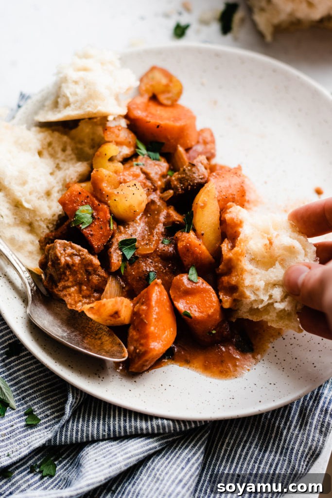 Best Beef Stew (Instant Pot + Oven) - This Beef Stew is saucy, hearty, and made with simple, good-for-you ingredients like potatoes, carrots, beef, tomato juice, and spices. Make it in the Instant Pot in a flash or in the oven, cooked low and slow. Both cooking methods give drool-worthy results. Don't forget the crusty bread for dipping! #instantpotrecipes #instantpotbeefstew #beefstew #healthyrecipes #dinnerrecipes #easyrecipes #bluebowlrecipes | bluebowlrecipes.com A hand holding a piece of crusty bread, dipping it into the rich, saucy beef stew on a plate, ready to savor.