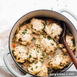 Soul-Soothing Chicken Dumpling Broth 12 A Dutch oven filled with Cozy Chicken Dumpling Soup, showcasing its rich texture and comforting appeal.