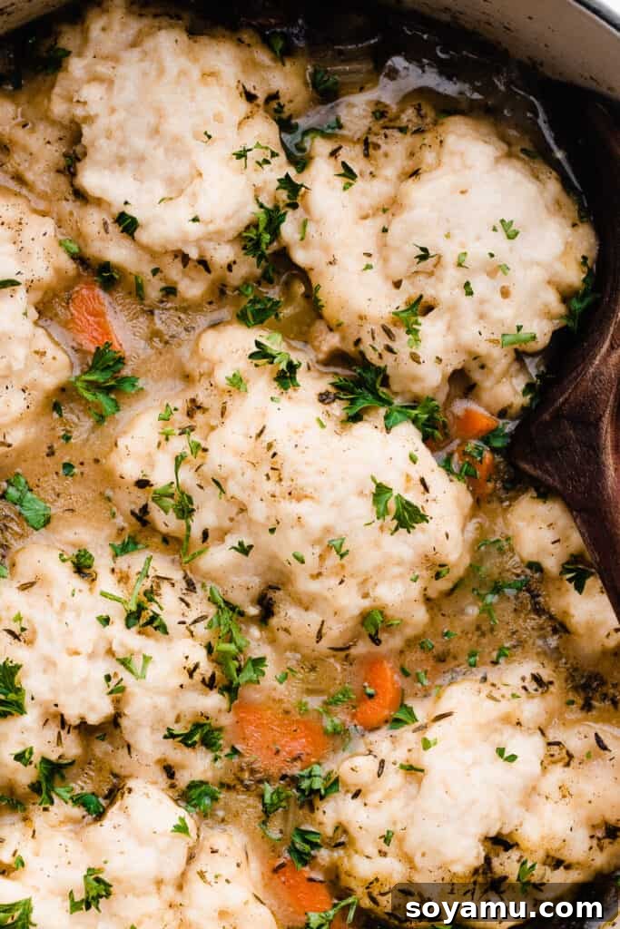 Soul-Soothing Chicken Dumpling Broth 10 A close-up view of a bowl of Cozy Chicken Dumpling Soup, showing the texture of the dumplings, chicken, and creamy broth.