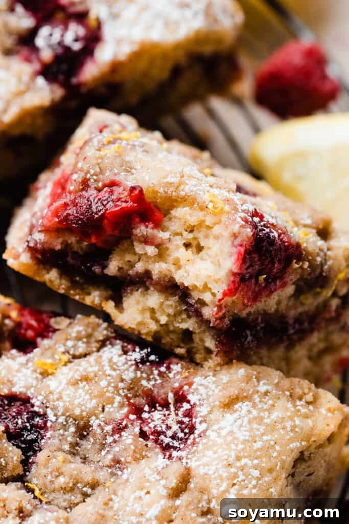 Zesty One-Bowl Raspberry Lemon Coffee Cake 2 A close-up on a slice of coffee cake with a bite missing, showing the fresh raspberries baked in and the raspberry jam ripple.