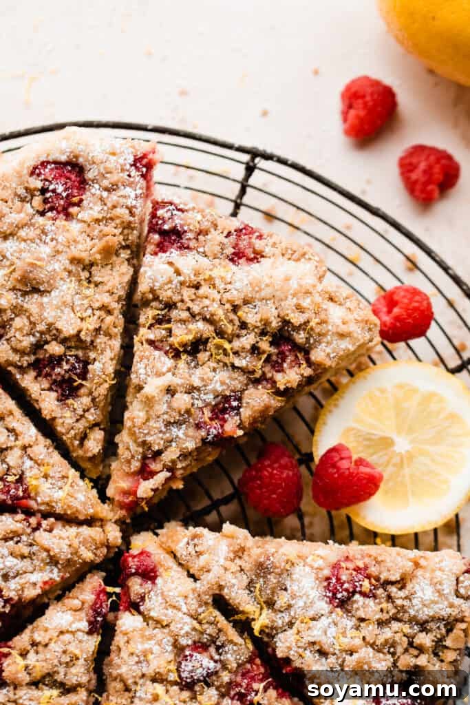 Zesty One-Bowl Raspberry Lemon Coffee Cake 3 Sliced wedges of the raspberry coffee cake with raspberries scattered around.