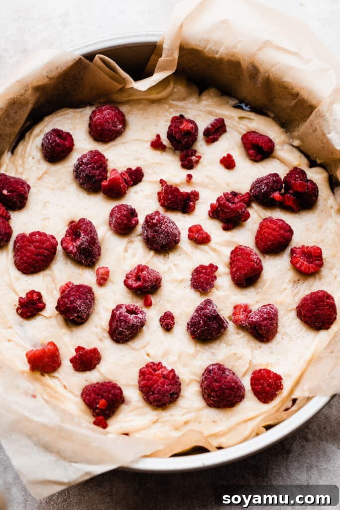Zesty One-Bowl Raspberry Lemon Coffee Cake 7 Cake batter in the pan topped with raspberries.