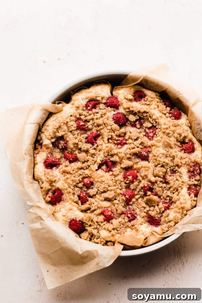 Zesty One-Bowl Raspberry Lemon Coffee Cake 8 The baked cake in a parchment lined pan.