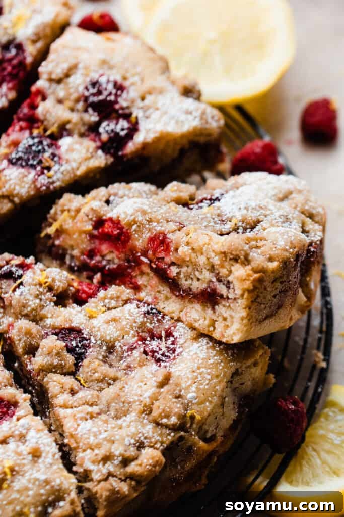 Zesty One-Bowl Raspberry Lemon Coffee Cake 9 A slice of the coffee cake, showing the raspberry rippled center and raspberries baked in.