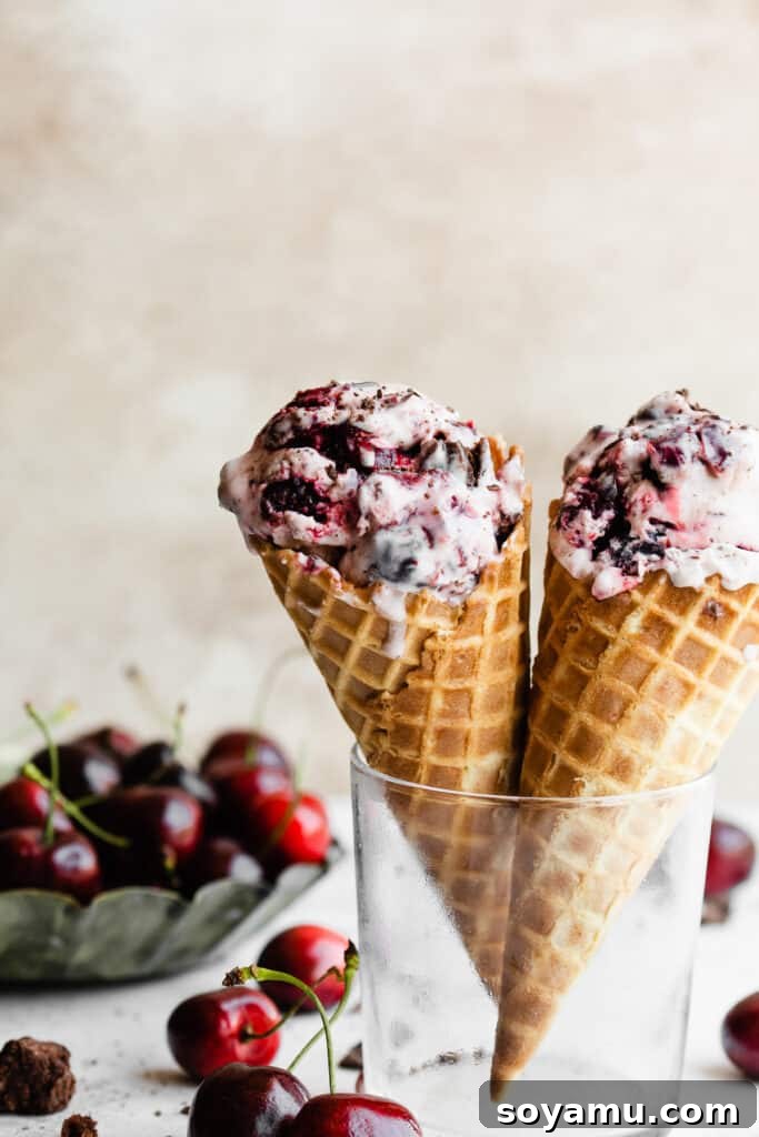 Effortless Black Forest Bliss 3 Two ice cream cones generously filled with Black Forest Ice Cream, featuring visible swirls of cherry and brownie, presented in a clear glass with fresh red cherries scattered around the base.