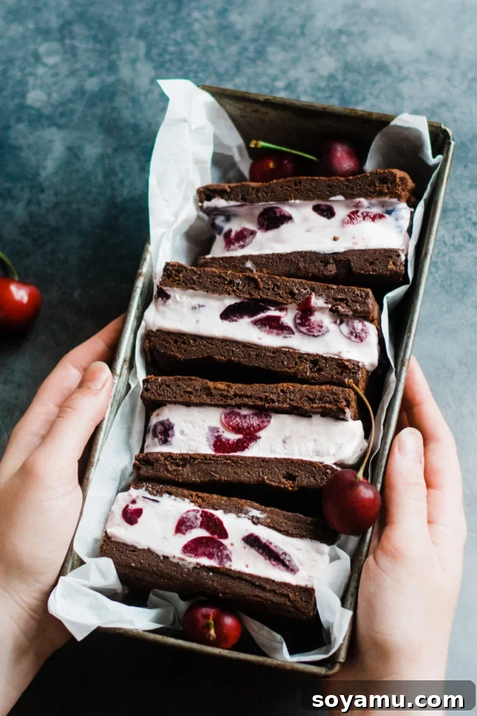 Effortless Black Forest Bliss 8 Delicious Black Forest Ice Cream transformed into elegant ice cream sandwiches, made with fudgy brownies and artfully arranged.