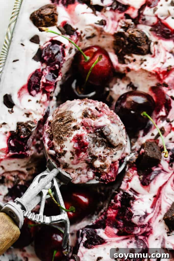 Effortless Black Forest Bliss 9 A close-up of a beautifully scooped portion of Black Forest Ice Cream, showing rich cherry swirls, brownie pieces, and chocolate chunks, presented in an antique ice cream scoop.