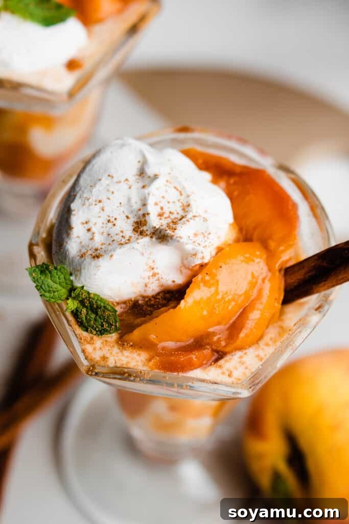 Swirled Homemade Peach Pie Milkshake 3 A top-down view of a peach milkshake in a sundae glass, garnished with fresh peach slices, a swirl of whipped cream, and a dusting of cinnamon.