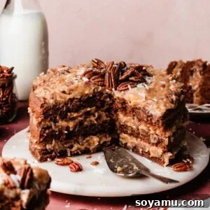 A beautifully sliced German Chocolate Cake on a elegant marble cake plate, showcasing its moist chocolate layers and generous coconut pecan frosting.