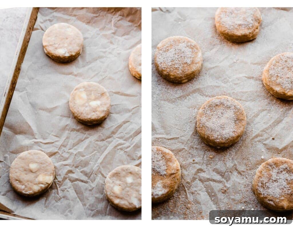 Warm Maple Biscuits with a Velvety Maple Glaze 7 Two images: one shows unbaked maple biscuits arranged on a parchment-lined baking sheet, and the other shows the biscuits brushed with heavy cream and generously sprinkled with cinnamon sugar before baking.