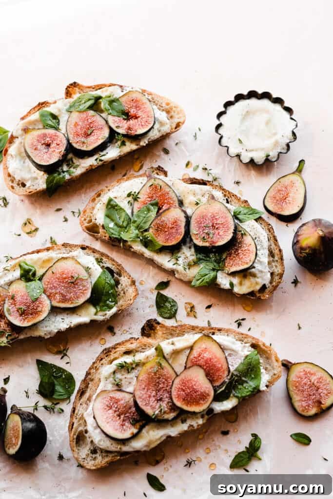 Luscious Fig & Honey Ricotta Toast 3 Four beautifully arranged slices of toasted sourdough, each topped with a generous dollop of whipped ricotta, fresh fig segments, fragrant basil leaves, and a delicate drizzle of honey.