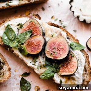 Luscious Fig & Honey Ricotta Toast 9 A close-up on a slice of ricotta toast topped with figs, basil, and honey.