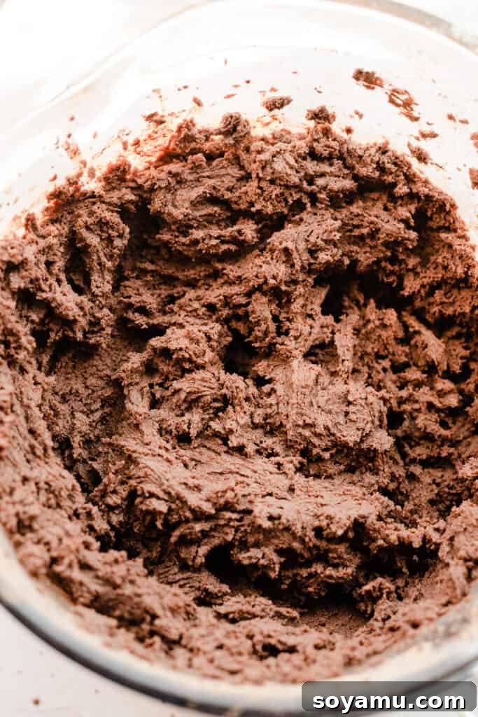Midnight Forest Cherry Cookies 4 A bowl of rich, slightly wet chocolate cookie dough, ready for chilling.