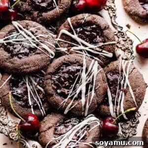 Black Forest Cookies arranged in a vintage metal tray, surrounded by fresh cherries, highlighting their rich appearance and delicious appeal.