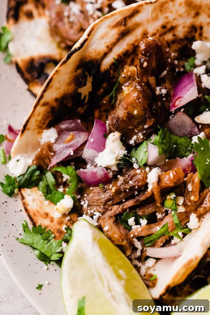 Melt-in-Your-Mouth One-Pot Lamb Barbacoa Tacos 8 A close-up of a perfectly constructed lamb taco, featuring juicy shredded meat, a drizzle of sauce, fresh red onion, cotija cheese, and cilantro for a vibrant finish.