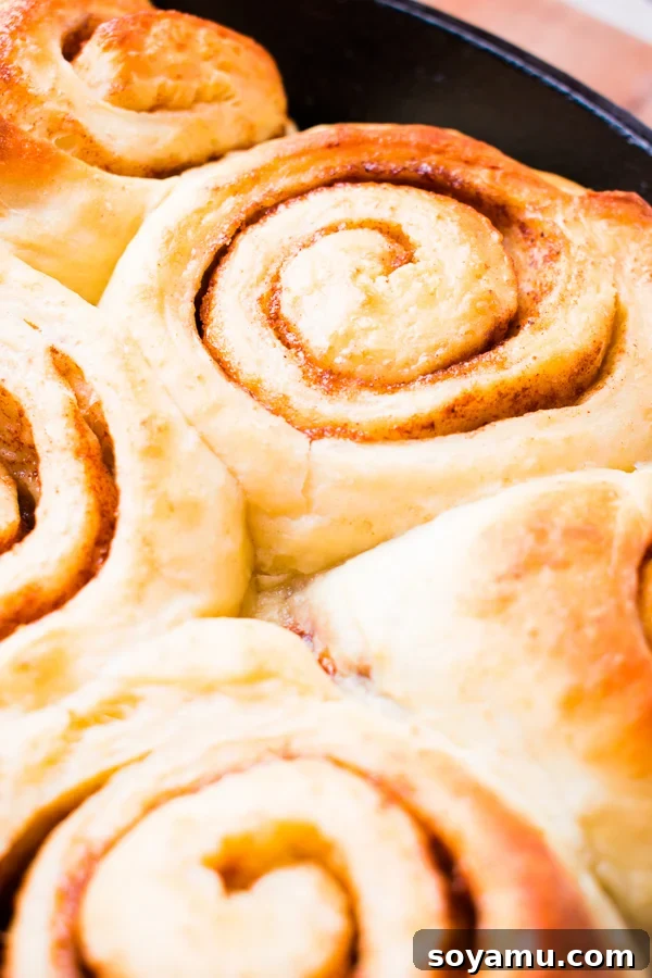 Cinnamon rolls being prepared on a floured surface, showing the rolled-out dough with cinnamon sugar filling.