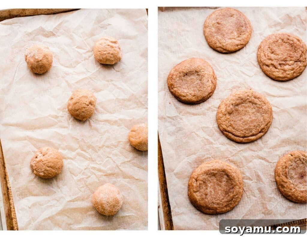 Spiced Caramel Apple Cider Cookies 6 Two images: one showing uniform cookie dough balls coated in spice on a baking sheet, and the other displaying a batch of perfectly baked, warm apple cider cookies.