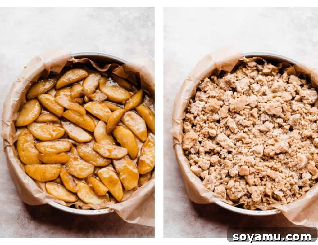 The layered cake in the pan, showing the apple layer, and then the crumb topping sprinkled over the apples.