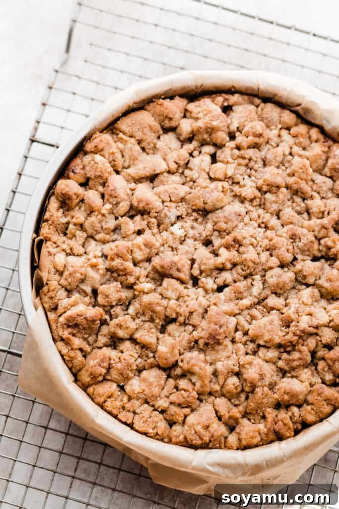 The golden-brown baked crumb cake still in its pan, fresh from the oven.