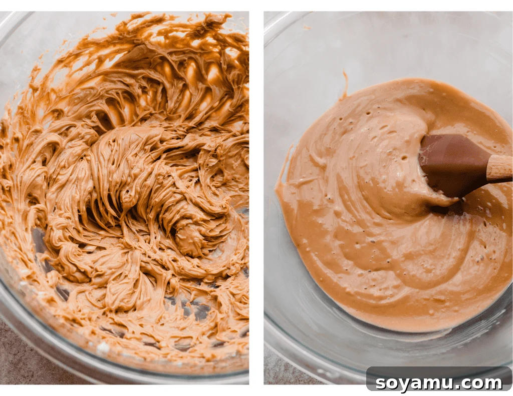 Ultimate Lotus Biscoff Cookie Butter Layer Cake 4 Photos of the butter and cookie butter creamed together, then creamed with the oil.