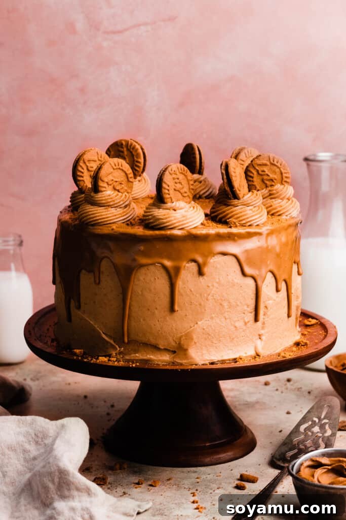 Ultimate Lotus Biscoff Cookie Butter Layer Cake 8 The full biscoff cake on a cake stand, topped with a cookie butter drip and frosted with swirls of cookie butter frosting topped with biscoff cookies.