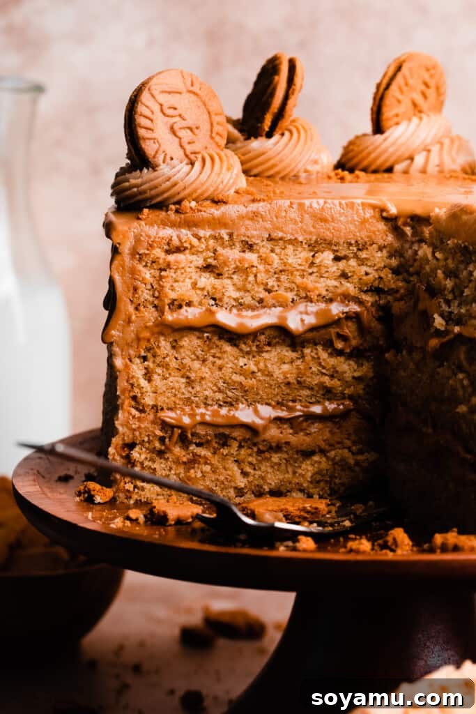Ultimate Lotus Biscoff Cookie Butter Layer Cake 9 A close-up of the inside of the sliced open cake, showing the biscoff cake layers.