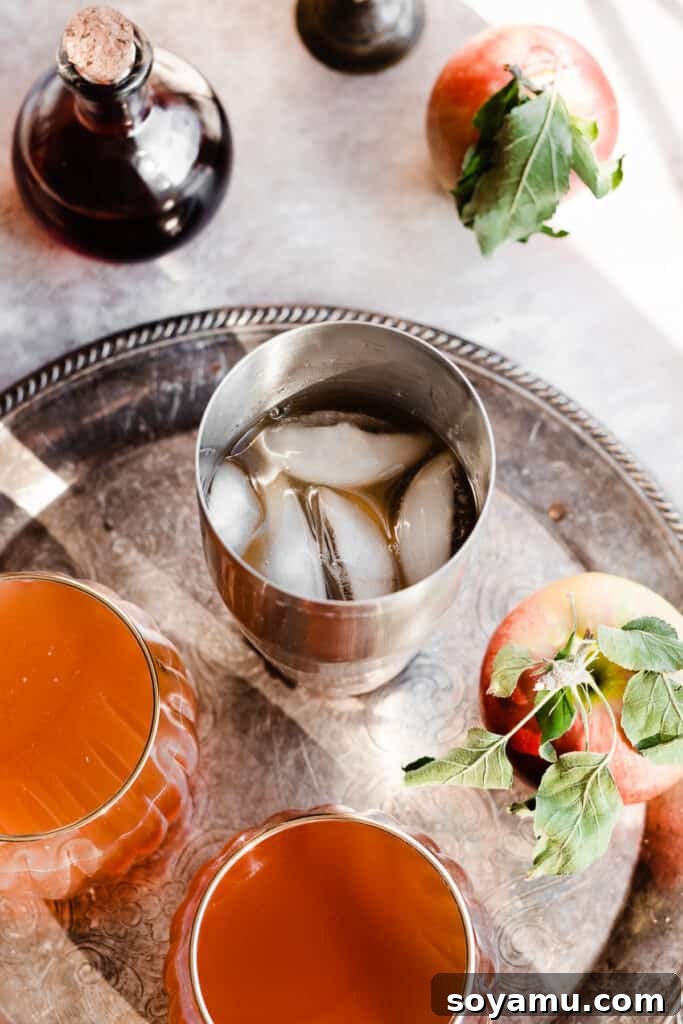 The drink in a cocktail shaker with ice, on a vintage metal tray.