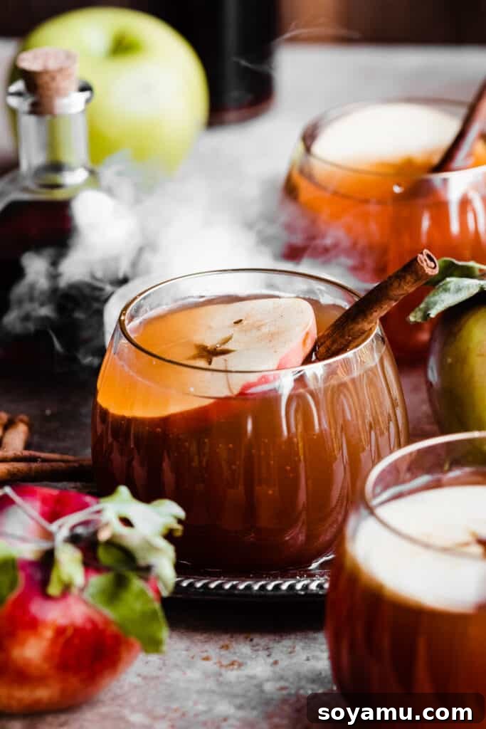 A close up on a glass of witches brew punch with an apple slice and cinnamon stick for garnish. 