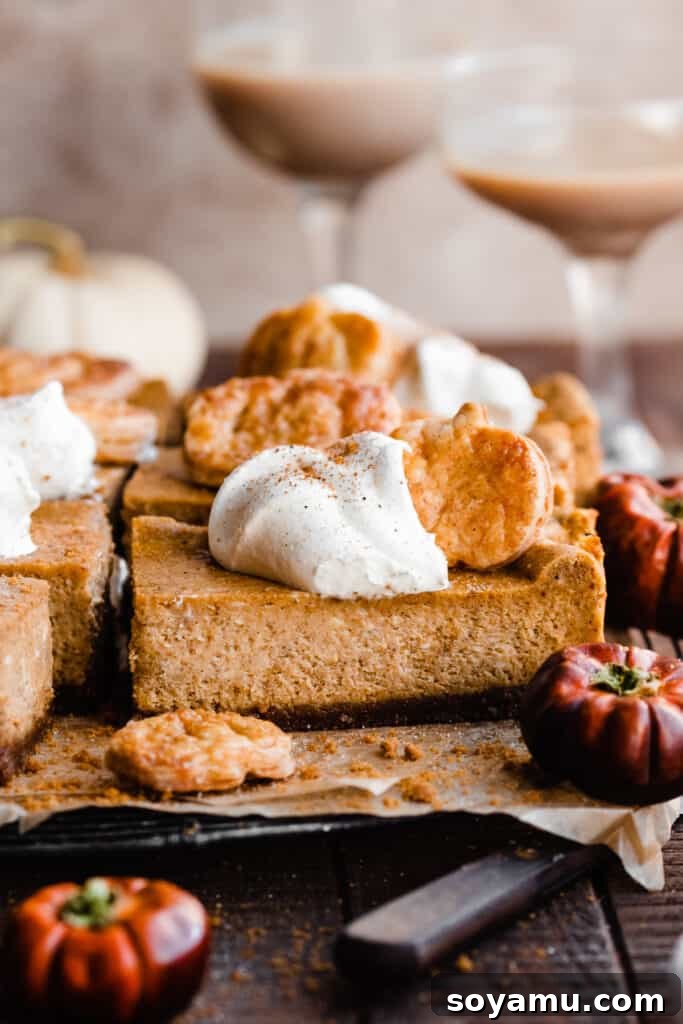 Velvet Pumpkin Irish Cream Cheesecake Bars 2 A close-up of a rich, creamy pumpkin cheesecake bar topped with a dollop of Irish cream whipped cream, showcasing its irresistible texture and festive appeal.