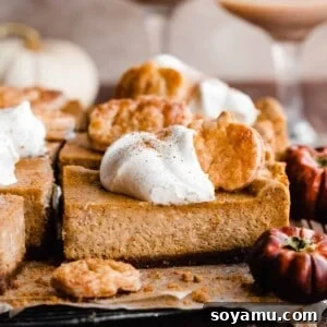 Velvet Pumpkin Irish Cream Cheesecake Bars 11 A close-up of a slice of pumpkin cheesecake bar with whipped cream on top, ready to be enjoyed.