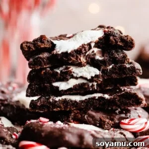 A straight-on view of a stack of broken open cookies with festive twinkle lights in the background.