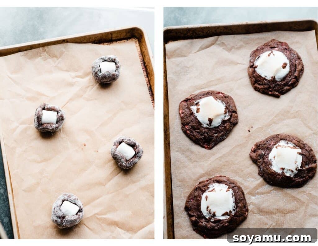 Two images on a baking sheet: one showing sugared cookie dough balls before baking, and the other displaying freshly baked hot cocoa cookies.