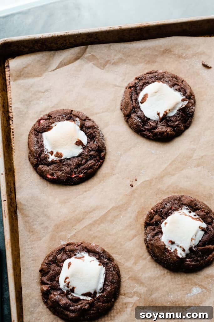 Close-up of freshly baked hot cocoa cookies cooling on a baking sheet, showcasing their perfectly round shape after the expert trick.