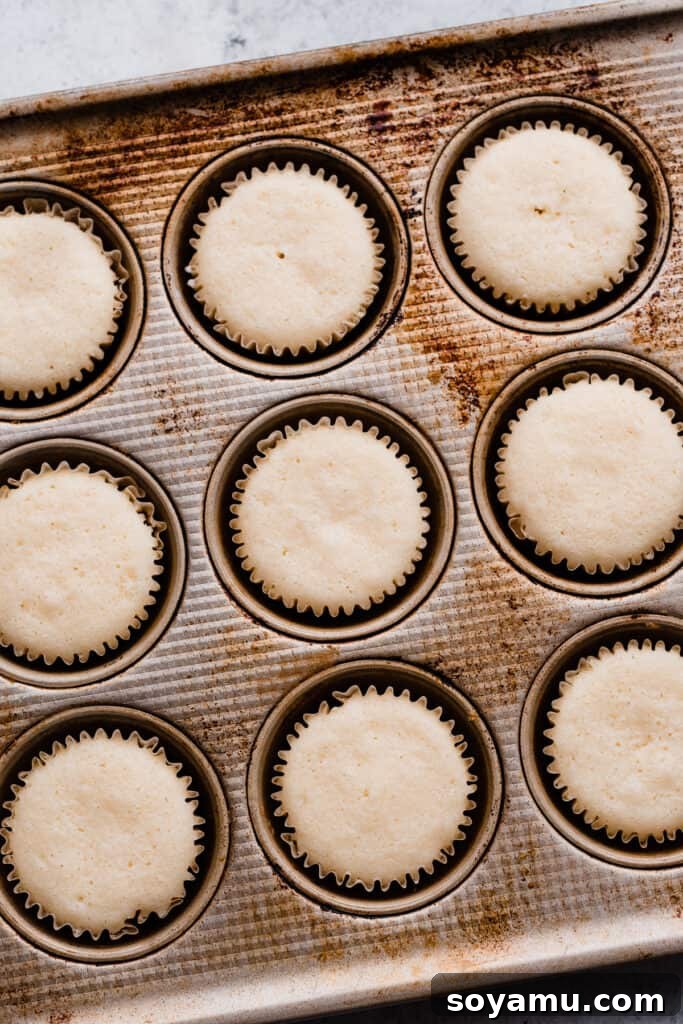 Pink Champagne Raspberry Delights 5 Freshly baked cupcakes in their tin, cooling after coming out of the oven.